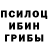 Псилоцибиновые грибы мухоморы Stredys 228