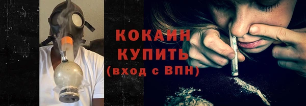 сатива Кулебаки