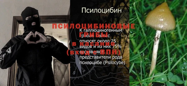 твердый Куйбышев