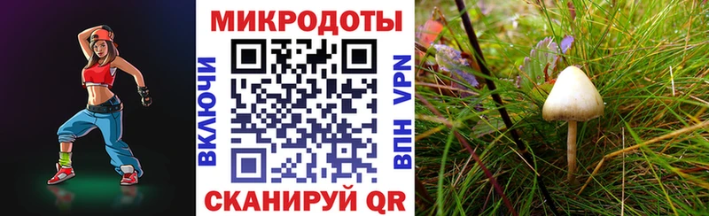 Галлюциногенные грибы прущие грибы  Называевск 